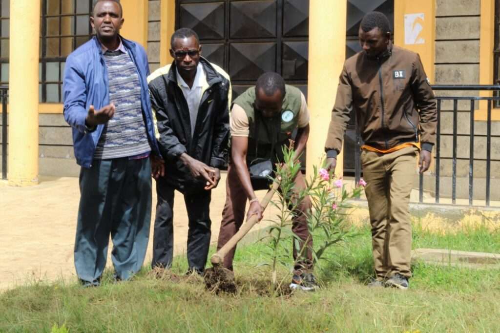 whatsapp image 2025 11 06 at 11.29.37 am.jpeg