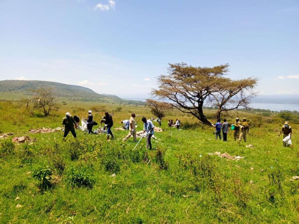 whatsapp image 2025 11 06 at 11.29.43 am 1.jpeg