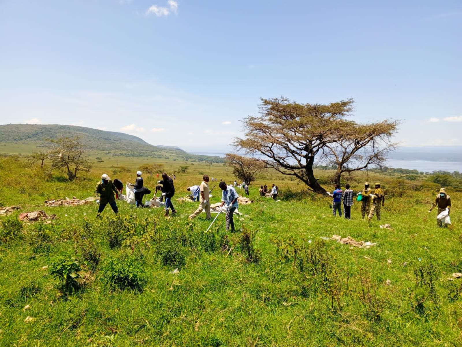 whatsapp image 2025 11 06 at 11.29.43 am.jpeg