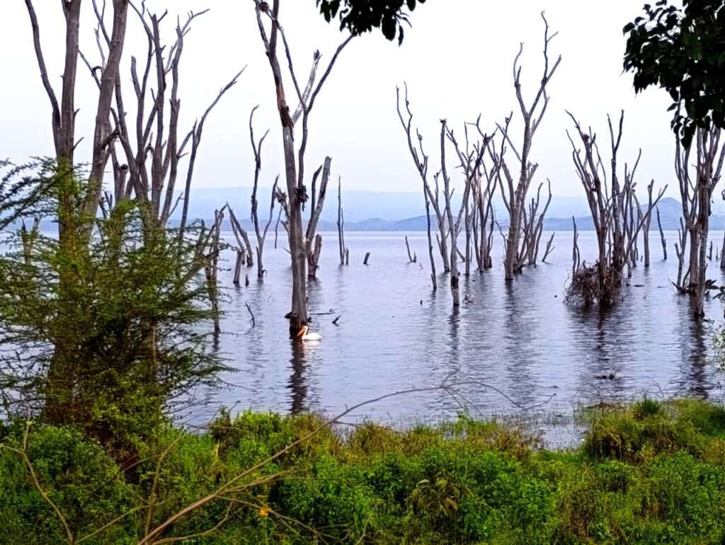 whatsapp image 2025 11 07 at 11.58.18 am.jpeg