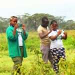 whatsapp image 2026 02 26 at 9.41.23 pm (1)