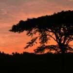 whatsapp image 2026 03 05 at 4.53.53 pm